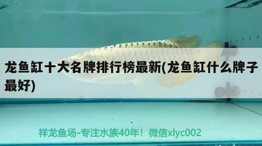 龍魚缸什么牌子的好：森森龍魚缸價格對比閩江水族魚缸價格對比