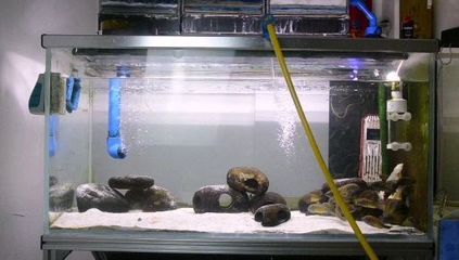 魚缸底濾怎么清理魚缸底濾的原理及優缺點有哪些：底濾魚缸原理是什么