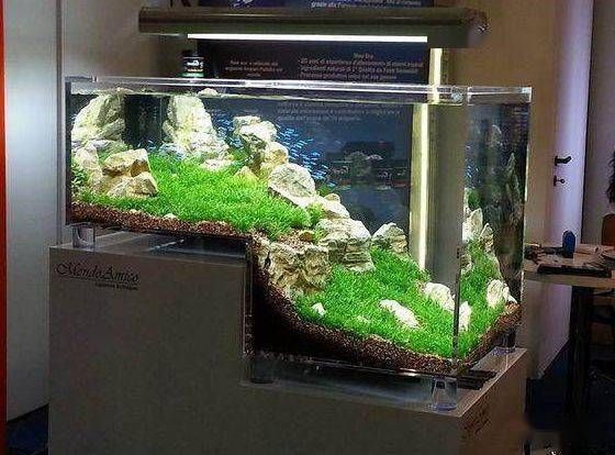 魚缸造景的藝術(shù)與科學(xué)魚缸造景的藝術(shù)與科學(xué)魚缸造景：水族館設(shè)計的魅力探索水族館設(shè)計的魅力探索水族館設(shè)計的魅力