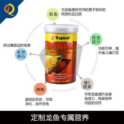 丹東市元寶區愛多觀賞魚店（丹東市元寶區愛多觀賞魚店地址）