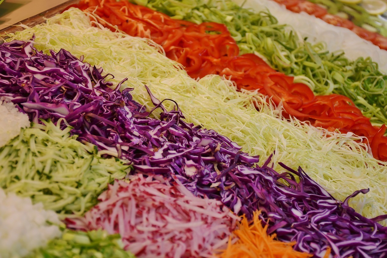 北京善生觀賞魚銷售店