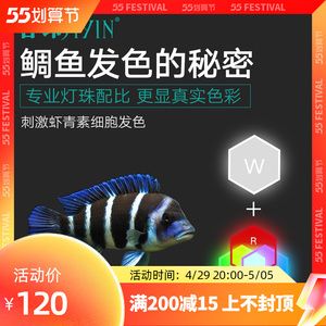 魚缸燈有助于魚發色嗎：如何調節魚缸燈光色溫，魚缸照明對水質有何影響 魚缸燈有助于魚發色嗎：如何調節魚缸燈光色溫，魚缸照明對水質有何影響 魚缸百科 第5張