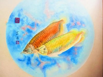 金龍魚色彩靜物：金龍魚的色彩靜物是一種富有挑戰性和創造力的藝術表現形式