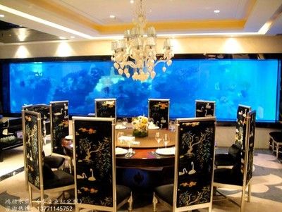 魚缸定制價格表（魚缸定制價格表,尺寸方面,設計方面,杭州地區）