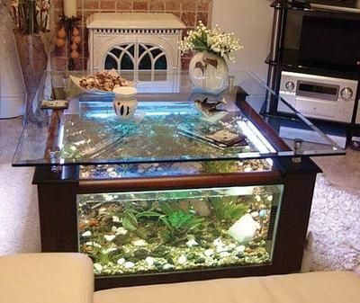 放小魚缸的講究（搜索結(jié)果整理的小魚缸擺放的一些講究）