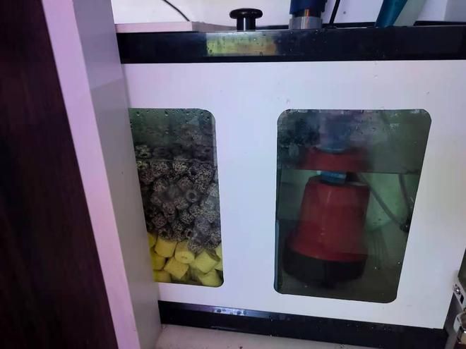 底濾魚缸過濾系統的維護與保養技巧掌握底濾魚缸的維護與保養技巧：底濾魚缸的排污原理