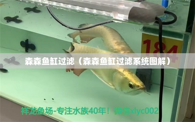 長春市寬城區基隆北街與柳江路交匯處魚樂島水族館（長春漁樂圈海鮮超市餐廳）