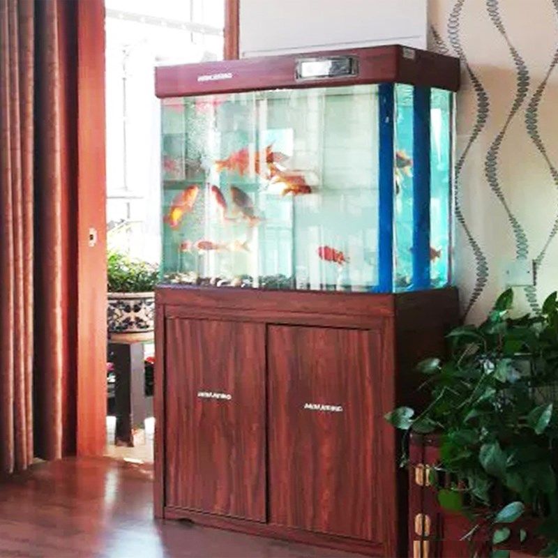 閩江（minjiang）魚缸：關于閩江（minjiang）魚缸的詳細介紹
