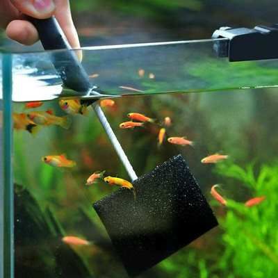 很大的魚缸（aquadom水族箱發生爆裂）
