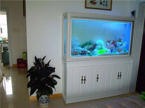 魚缸漏水怎么辦？：底濾魚缸出水口漏水怎么辦