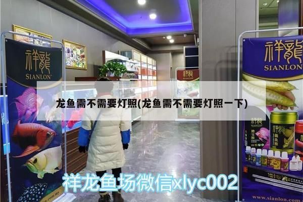 魚都扎堆在魚缸的一角不吃食怎么辦：如何解決魚只扎堆在魚缸一角并且不吃食的問題