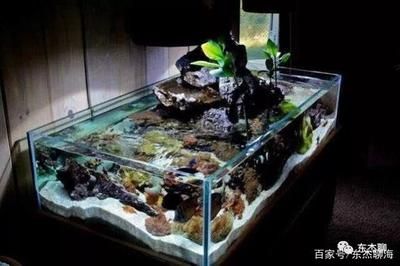 底濾魚缸造景的基本步驟：底濾魚缸造景不僅能夠提升魚缸的美觀度，還能為水族寵物-07]