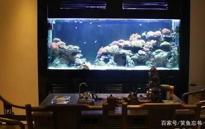 農村的房子魚缸放在家里哪個位置好（農村房子魚缸放在家里哪個位置好，不僅可以美化家居環境）