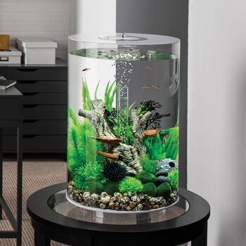 北歐風格魚缸選購指南：北歐風格魚缸維護技巧分享北歐風格魚缸維護技巧分享