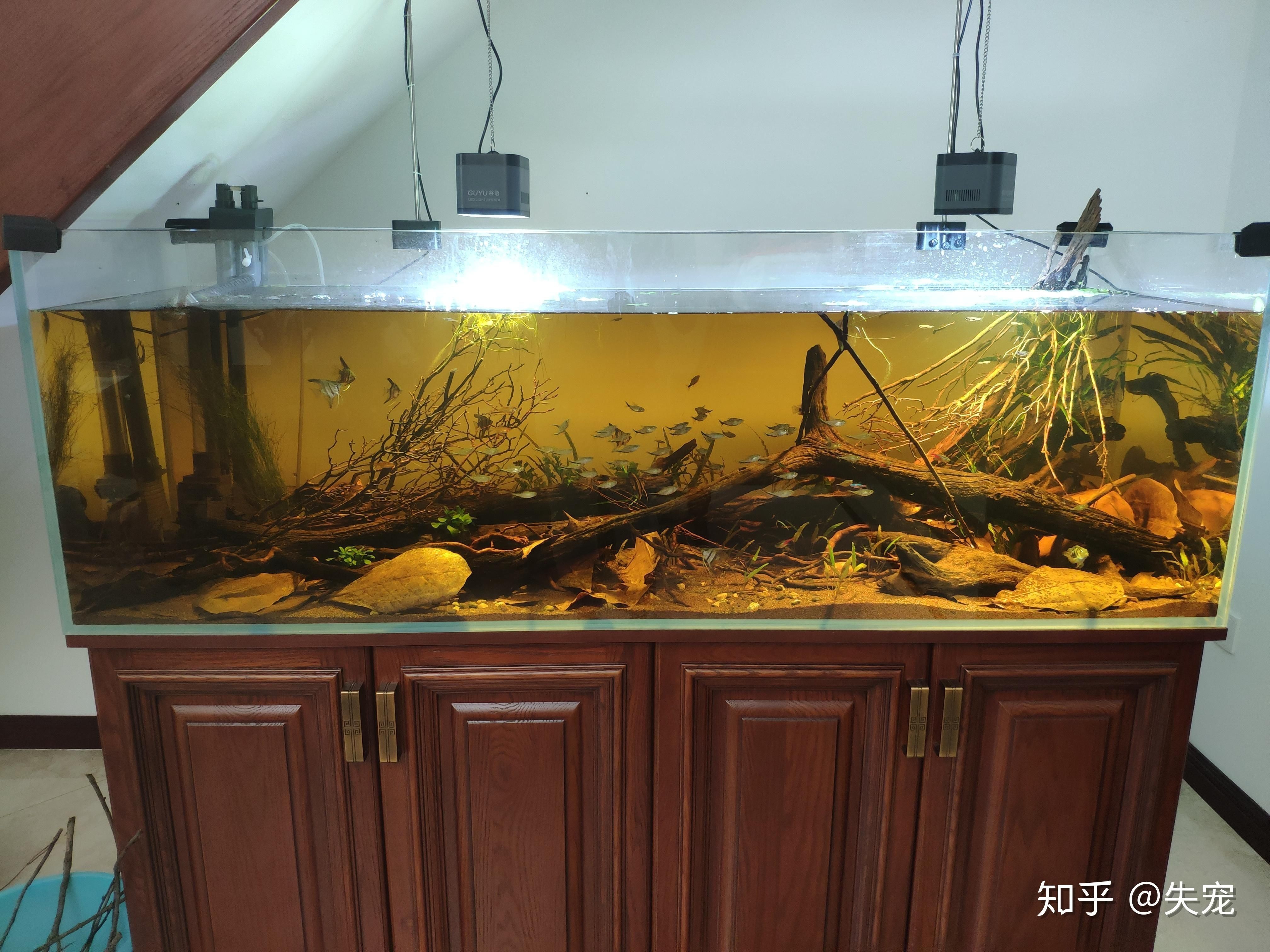 魚缸選購注意事項(xiàng)在選擇底濾魚缸品牌時(shí)可以參考以下幾個(gè)品牌：底濾魚缸品牌推薦