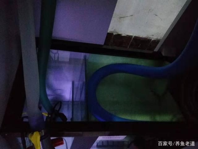 森森魚缸下過濾循環視頻：森森魚缸下過濾循環