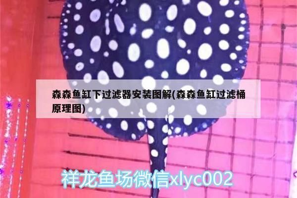 森森魚缸下過濾循環視頻：森森魚缸下過濾循環