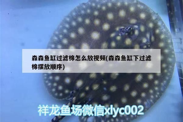 森森魚缸下過濾循環視頻：森森魚缸下過濾循環