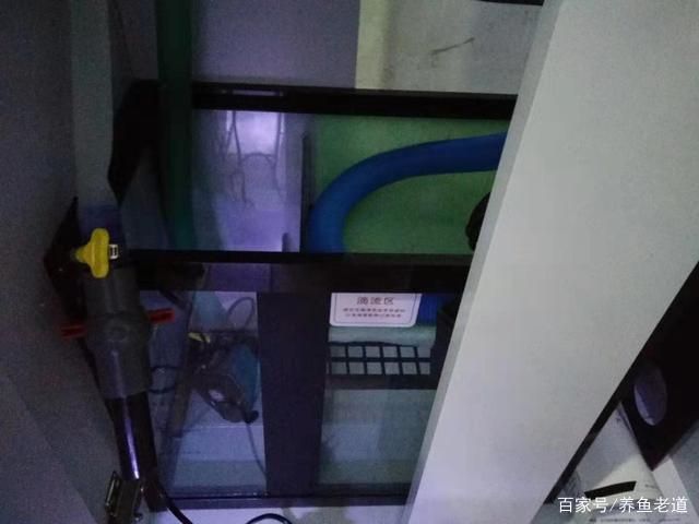 森森魚缸下過濾循環視頻：森森魚缸下過濾循環