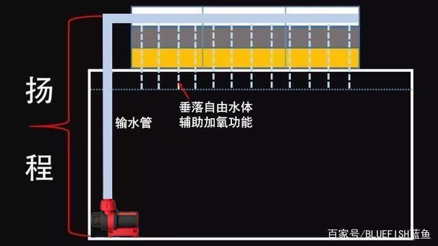 創星魚缸水泵轉子拆出來清洗后重裝后聲音變響：創星魚缸水泵聲音變響