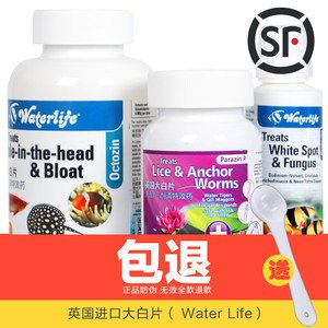 龍魚外寄用什么藥效果好