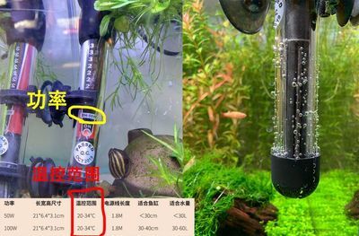魚缸加熱棒e6閃爍故障：解決e6閃爍故障：魚缸加熱棒的診斷與修復