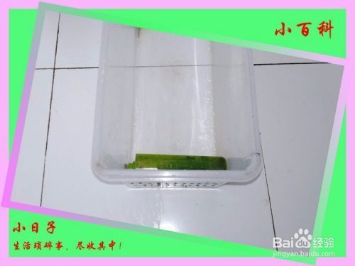 魚缸diy制作過濾盒 瓶子：diy魚缸過濾盒的制作步驟