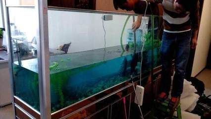 過濾桶魚缸換水的步驟和注意事項:過濾桶魚缸換水步驟和注意事項 魚缸百科 第1張 過濾桶魚缸換水的步驟和注意事項:過濾桶魚缸換水步驟和注意事項 過濾桶魚缸換水的步驟和注意事項:過濾桶魚缸換水步驟和注意事項 魚缸百科 第1張