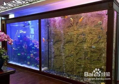 魚缸水質(zhì)如何清洗？：剛做的魚缸水臟可以通過以下幾個步驟進(jìn)行處理與培養(yǎng)