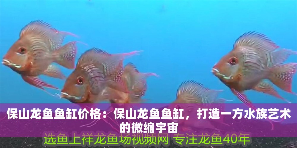 保山龍魚魚缸價格：保山龍魚魚缸，打造一方水族藝術的微縮宇宙