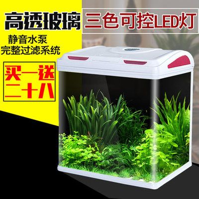 松寶魚缸怎么樣：松寶魚缸與其他品牌的比較，松寶魚缸維護保養指南