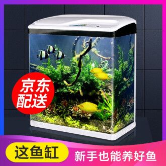 松寶魚缸怎么樣：松寶魚缸與其他品牌的比較，松寶魚缸維護保養指南