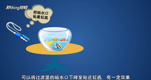 歐寶魚缸怎么清洗：如何清洗歐寶魚缸