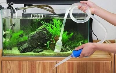 給大魚缸換水需要注意換水量、鹽的添加、水溫差距等問題：如何給大魚缸換水