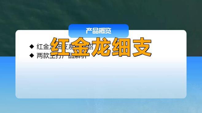 紅金龍香煙哪個系列口感最好？