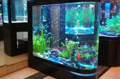 舒拜（SUREPET）魚缸：舒拜魚缸用戶評價匯總