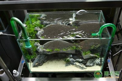 如何調節魚缸水溫至適宜范圍：調節魚缸水溫至適宜范圍是確保水生動物健康生長和維持關鍵