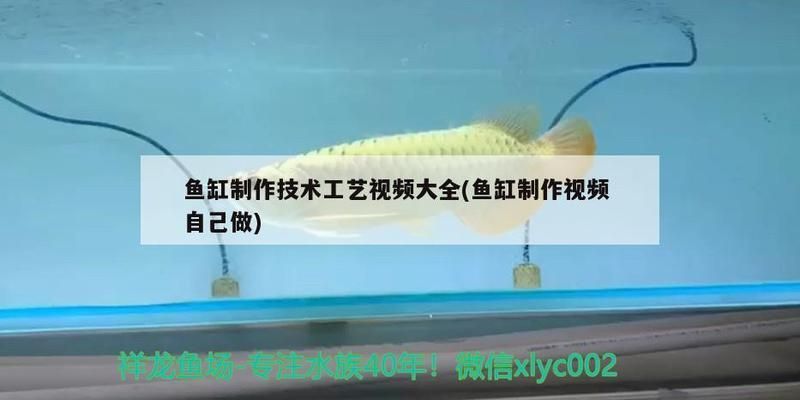高檔魚缸制作過程視頻：高檔魚缸制作流程