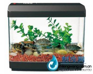 佳寶魚缸維修電話是多少：佳寶魚缸售后服務電話