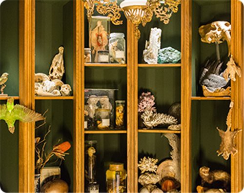 崔磊的《鎮守相安》有何特色？