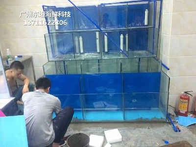 海鮮魚缸圖片大全圖（海鮮魚缸圖片大全）
