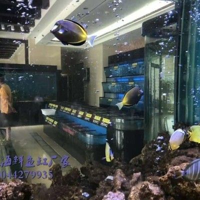 海鮮魚缸圖片大全圖（海鮮魚缸圖片大全）