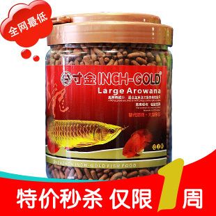 龍魚最喜歡吃什么：龍魚最喜歡吃什么食物？