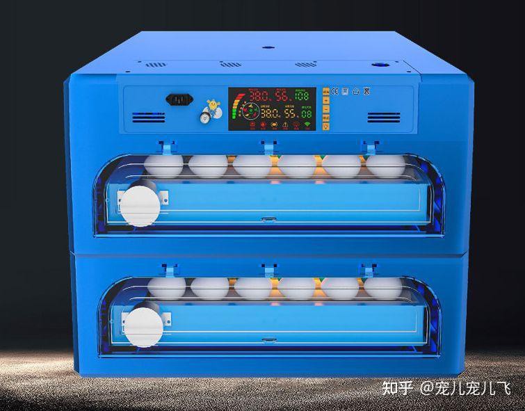 人工孵化金龍魚需要哪些設(shè)備？