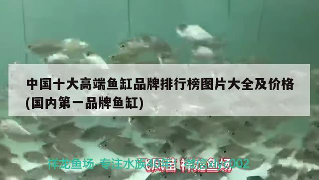 中國十大高端魚缸品牌排行榜圖片大全及價格(國內第一品牌魚缸)