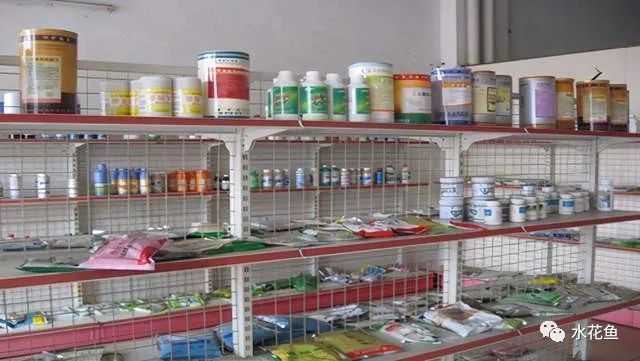 龍魚必定清驅蟲下多了：龍魚驅蟲藥安全劑量指南