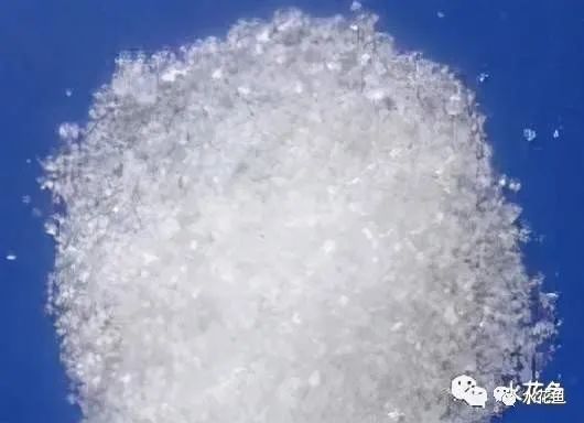 龍魚必定清驅蟲下多了：龍魚驅蟲藥安全劑量指南