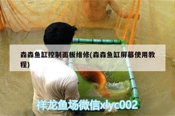 森森魚缸燈不亮的原因：如何檢測魚缸燈 森森魚缸燈不亮的原因：如何檢測魚缸燈 魚缸百科 第4張