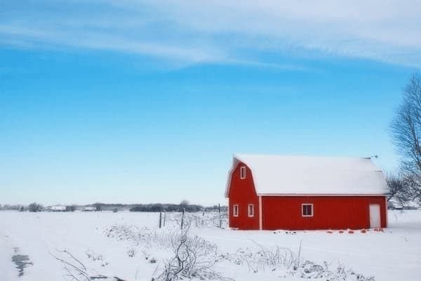 森森魚缸燈不亮的原因：如何檢測魚缸燈 森森魚缸燈不亮的原因：如何檢測魚缸燈 魚缸百科 第2張