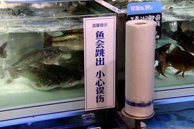 淮陽(yáng)市海公主水族制品有限公司水族制品有限公司提供多款魚(yú)缸服務(wù)：南陽(yáng)市海公主水族制品公司
